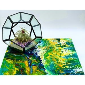 ✨BUNDLE✨ TERRARIUM & PAINTING